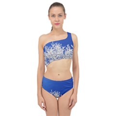 Crown-aesthetic-branches-hoarfrost- Spliced Up Two Piece Swimsuit by Ket1n9