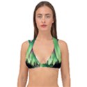 Aurora-borealis-northern-lights Double Strap Halter Bikini Top View1