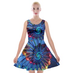 Top Peacock Feathers Velvet Skater Dress by Ket1n9