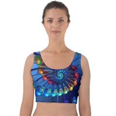 Top Peacock Feathers Velvet Crop Top by Ket1n9