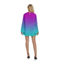 Background-pink-blue-gradient Round Neck Long Sleeve Bohemian Style Chiffon Mini Dress View4