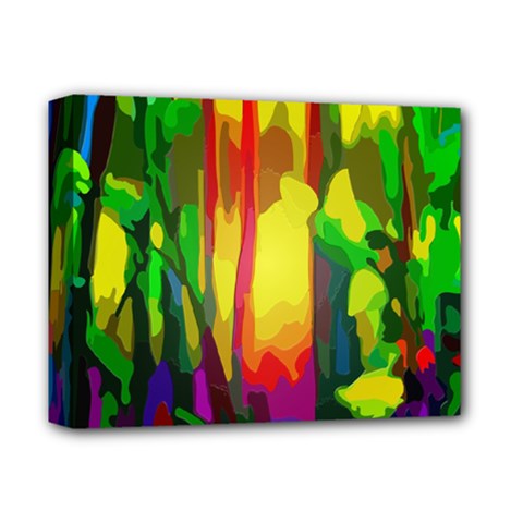 Abstract-vibrant-colour-botany Deluxe Canvas 14  X 11  (stretched) by Ket1n9