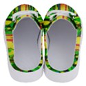 Abstract-vibrant-colour-botany Half Slippers View4