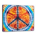 Tie Dye Peace Sign Canvas 20  x 16  (Stretched) View1