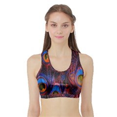 Pretty Peacock Feather Sports Bra With Border by Ket1n9