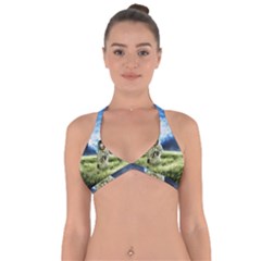 Astronaut Halter Neck Bikini Top by Ket1n9