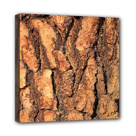 Bark Texture Wood Large Rough Red Wood Outside California Mini Canvas 8  X 8  (stretched) by Ket1n9