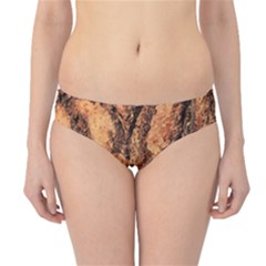 Bark Texture Wood Large Rough Red Wood Outside California Hipster Bikini Bottoms by Ket1n9