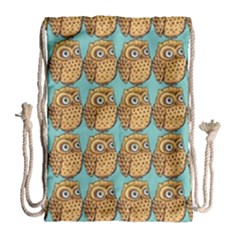 Owl Bird Cartoon Drawstring Bag (large) by Grandong