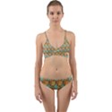 Owl Bird Pattern Wrap Around Bikini Set View1