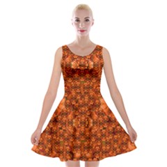 Floral Time In Peace And Love Velvet Skater Dress