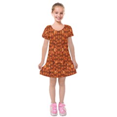 Floral Time In Peace And Love Kids  Short Sleeve Velvet Dress