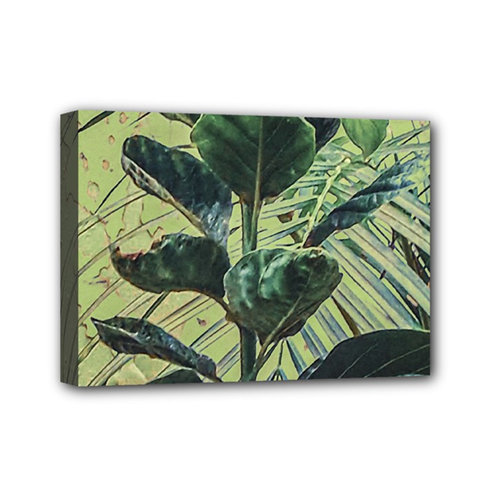 Botanical Tropical Motif Photo Art Mini Canvas 7  x 5  (Stretched)