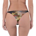 Abundance Of Fruit Severin Roesen Reversible Bikini Bottoms View2