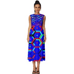 Blue Bee Hive Pattern Sleeveless Round Neck Midi Dress by Amaryn4rt