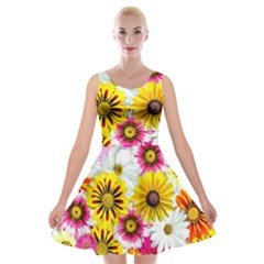 Flowers Blossom Bloom Nature Plant Velvet Skater Dress by Amaryn4rt