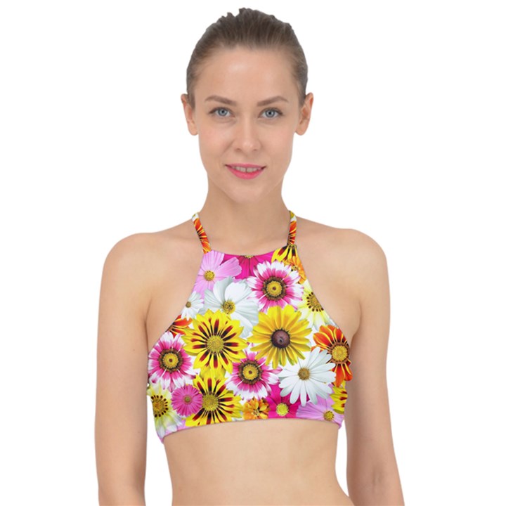 Flowers Blossom Bloom Nature Plant Halter Bikini Top