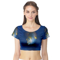 Fish Blue Animal Water Nature Short Sleeve Crop Top by Amaryn4rt