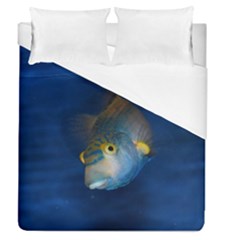 Fish Blue Animal Water Nature Duvet Cover (queen Size) by Amaryn4rt