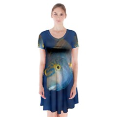 Fish Blue Animal Water Nature Short Sleeve V-neck Flare Dress by Amaryn4rt