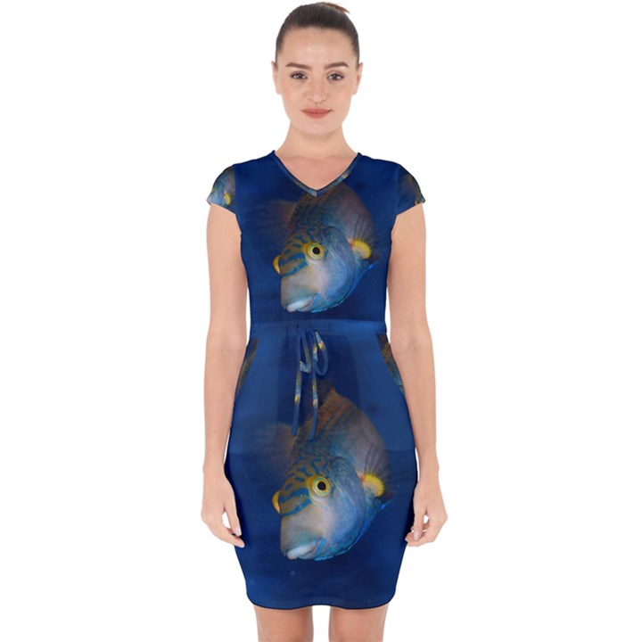 Fish Blue Animal Water Nature Capsleeve Drawstring Dress 