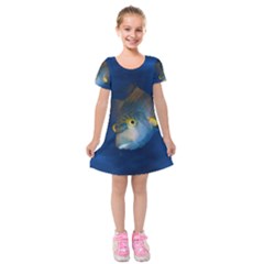 Fish Blue Animal Water Nature Kids  Short Sleeve Velvet Dress by Amaryn4rt