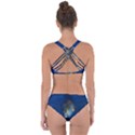 Fish Blue Animal Water Nature Criss Cross Bikini Set View2