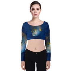 Fish Blue Animal Water Nature Velvet Long Sleeve Crop Top by Amaryn4rt