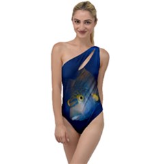 Fish Blue Animal Water Nature To One Side Swimsuit by Amaryn4rt