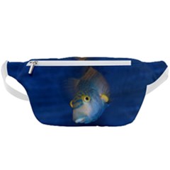 Fish Blue Animal Water Nature Waist Bag  by Amaryn4rt