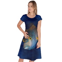 Fish Blue Animal Water Nature Classic Short Sleeve Dress by Amaryn4rt