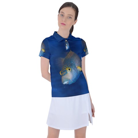 Fish Blue Animal Water Nature Women s Polo T-shirt by Amaryn4rt