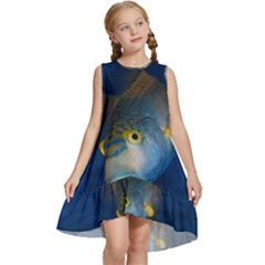 Fish Blue Animal Water Nature Kids  Frill Swing Dress by Amaryn4rt