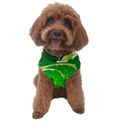 Kiwi Fruit Vitamins Healthy Cut Dog Sweater by Amaryn4rt