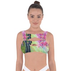 Forests Stunning Glimmer Paintings Sunlight Blooms Plants Love Seasons Traditional Art Flowers Sunsh Bandaged Up Bikini Top by Amaryn4rt