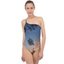 Hardest-frost-winter-cold-frozen Classic One Shoulder Swimsuit View1