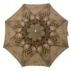 Cute Persian Catface In Closeup Straight Umbrellas by Amaryn4rt