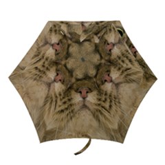 Cute Persian Catface In Closeup Mini Folding Umbrellas by Amaryn4rt