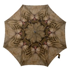 Cute Persian Catface In Closeup Hook Handle Umbrellas (large) by Amaryn4rt