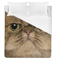 Cute Persian Catface In Closeup Duvet Cover (queen Size) by Amaryn4rt