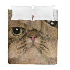 Cute Persian Catface In Closeup Duvet Cover Double Side (full/ Double Size) by Amaryn4rt