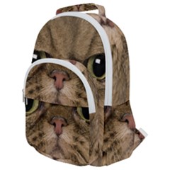 Cute Persian Catface In Closeup Rounded Multi Pocket Backpack by Amaryn4rt