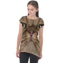 Cute Persian Catface In Closeup Cap Sleeve High Low Top by Amaryn4rt