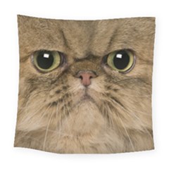 Cute Persian Catface In Closeup Square Tapestry (large) by Amaryn4rt