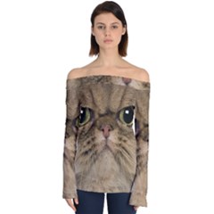 Cute Persian Catface In Closeup Off Shoulder Long Sleeve Top by Amaryn4rt