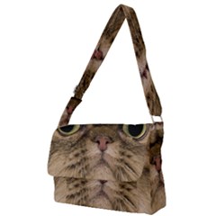 Cute Persian Catface In Closeup Full Print Messenger Bag (l) by Amaryn4rt