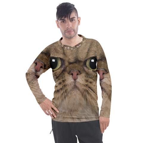 Cute Persian Catface In Closeup Men s Pique Long Sleeve T-shirt by Amaryn4rt