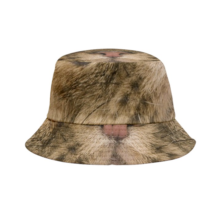 Cute Persian Catface In Closeup Bucket Hat