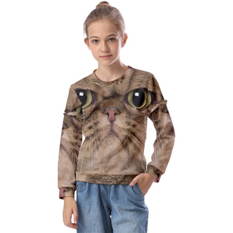 Cute Persian Catface In Closeup Kids  Long Sleeve T-shirt With Frill  by Amaryn4rt