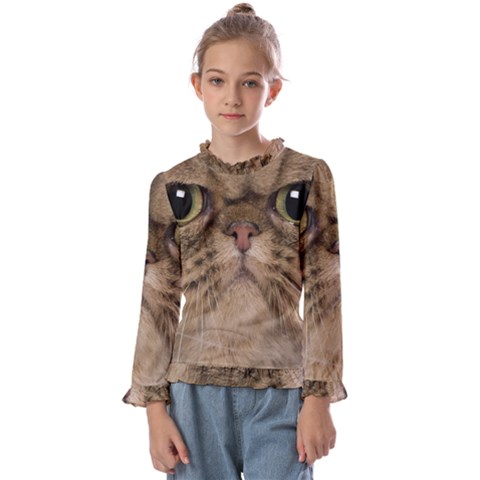 Cute Persian Catface In Closeup Kids  Frill Detail T-shirt by Amaryn4rt